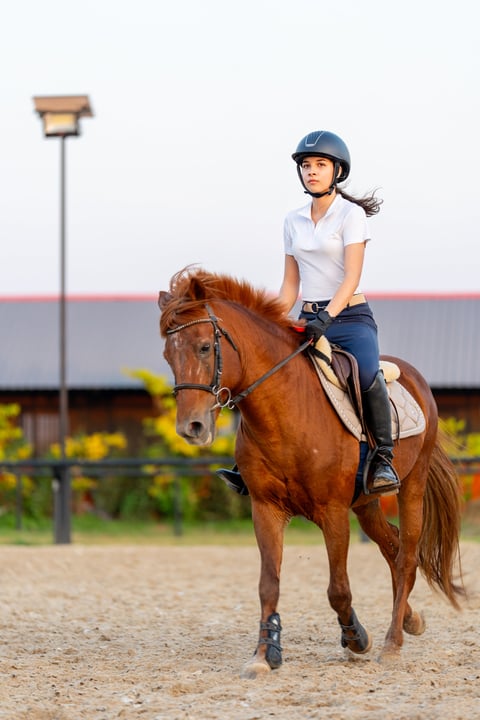 Centro ecuestre con jinete entrenando a caballo
