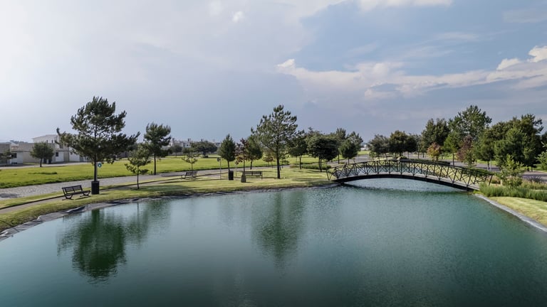 Peaceful pond with pedestrian bridge in landscaped park, surrounded by trees and green grass under partly cloudy sky