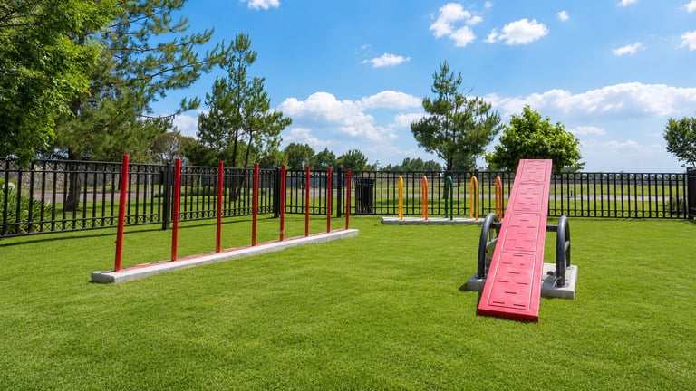 Dog agility training course with pink and white jump obstacles in grassy park area surrounded by black fencing
