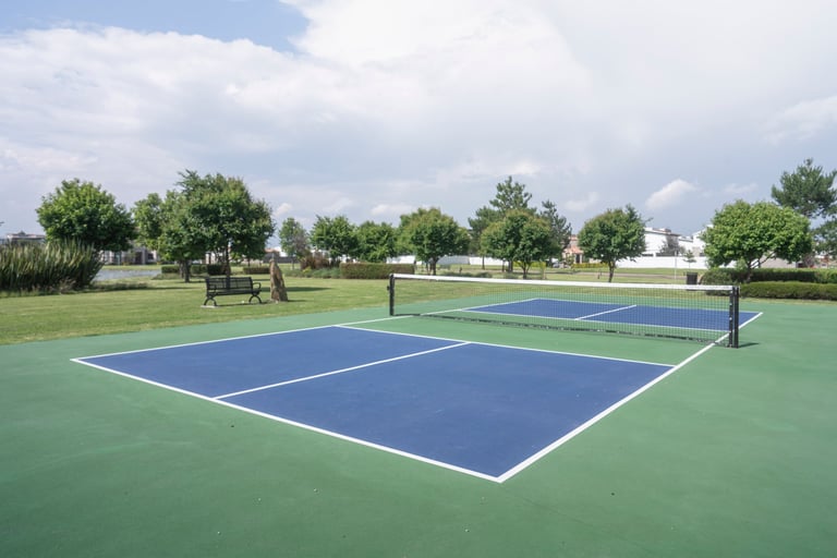Two blue and green outdoor pickle ball courts with net, surrounded by trees and grass under a cloudy sky
