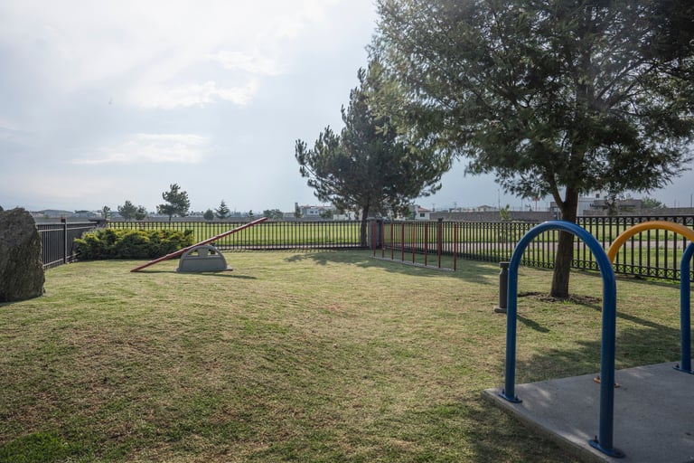 Open grassy dog park with white fencing, blue archway entrance, and large shade trees under cloudy sky